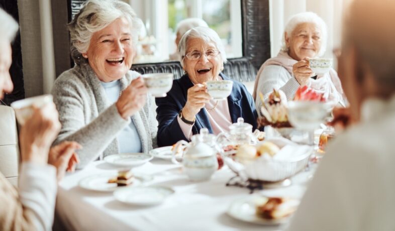 Assisted Senior Living in Kenosha, boutique assisted living community, senior care Kenosha Wisconsin